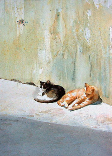 Pan de mur au soleil,  2 chats