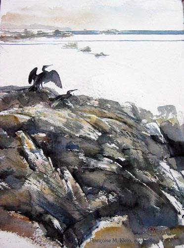 Rochers et cormorans